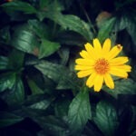 Follow your instincts