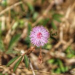 The time we were strangers!